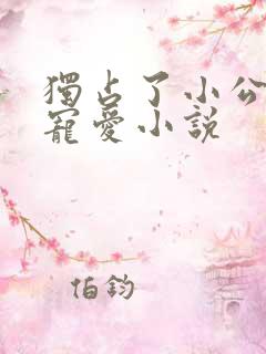 独占了小公主的宠爱小说