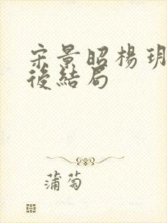 宋景昭杨玥薇最后结局