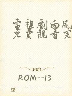 电视剧向风而行免费观看完整版国语