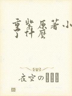 重紫原著小说讲了什么