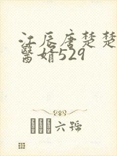 江辰唐楚楚龙王医婿529