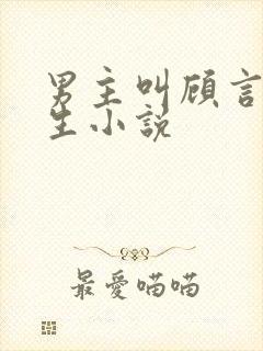 男主叫顾言的重生小说