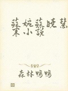 苏婉苏晓慧霍枭寒小说