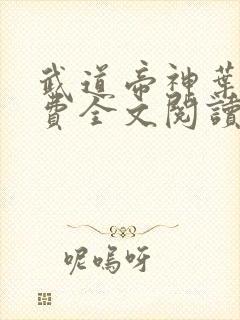 武道帝神叶辰免费全文阅读