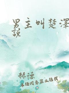 男主叫楚泽的小说