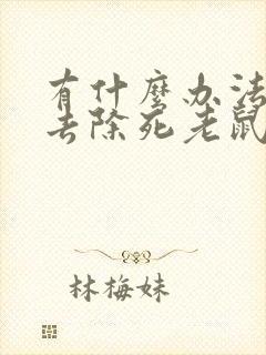 有什么办法可以去除死老鼠味