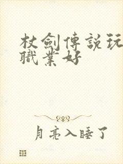 杖剑传说玩什么职业好