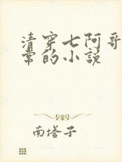 清穿七阿哥的日常的小说