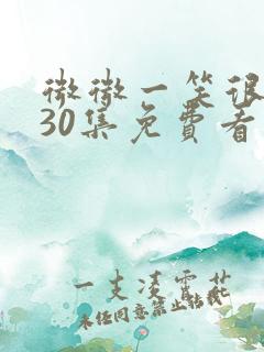 微微一笑很倾城30集免费看