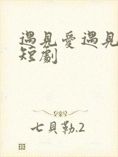 遇见爱遇见幸福短剧