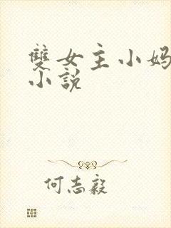 双女主小妈文学小说