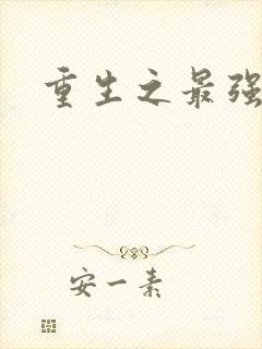 重生之最强圣帝