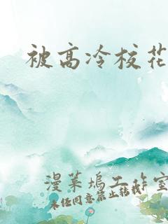 被高冷校花倒追