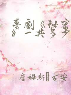 台剧《秘密关系》一共多少集