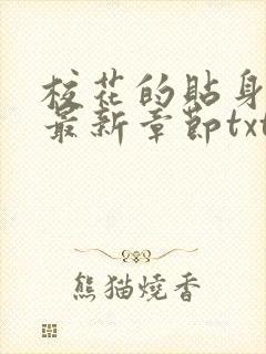 校花的贴身高手最新章节txt下载