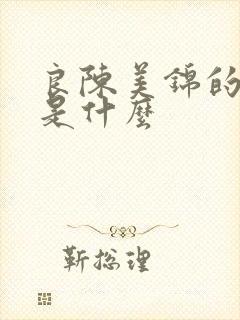 良陈美锦的结局是什么