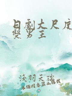 日剧大尺度推荐双男主