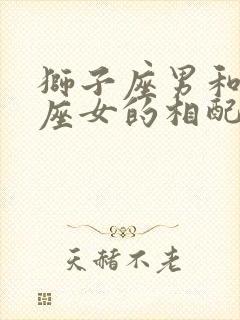 狮子座男和水瓶座女的相配指数