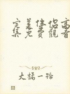 完美伴侣高清全集免费观看