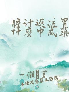 胆汁返流胃炎吃什么中成药