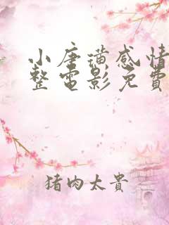 小唐璜感情史完整电影免费播放在线观看