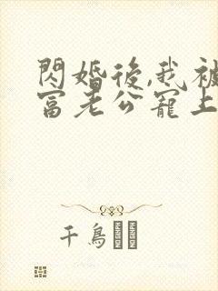 闪婚后,我被首富老公宠上天