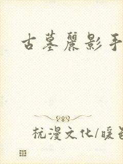 古墓丽影手机版