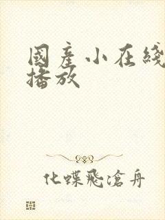 国产小在线av播放