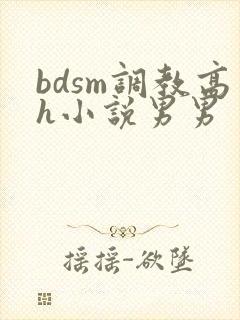 bdsm调教高h小说男男