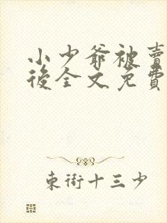 小少爷被卖山村后全文免费阅读