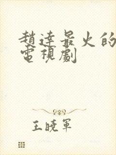 赵达最火的十部电视剧