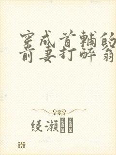 穿成首辅的炮灰前妻打醉翁