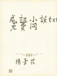 成认小说txt免费网