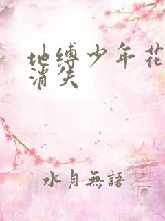 地缚少年花子君消失