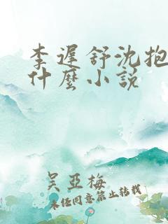 李迟舒沈抱山是什么小说