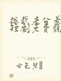 总裁老公惹不得短剧免费观看