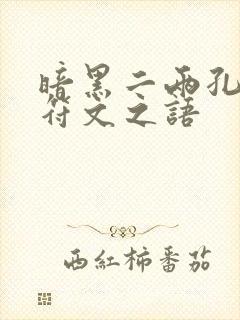 暗黑二两孔武器符文之语