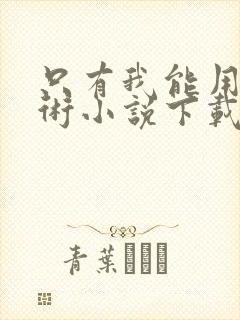 只有我能用召唤术小说下载