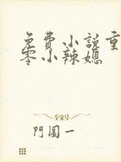 免费小说重生七零小辣媳