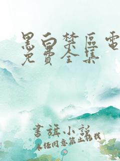 黑白禁区电视剧免费全集