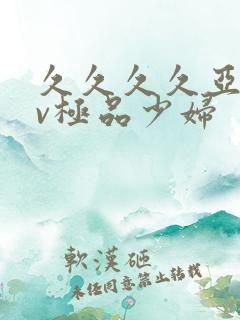 久久久久亚洲av极品少妇