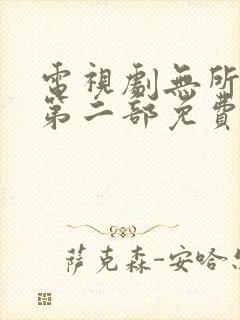 电视剧无所畏惧第二部免费观看