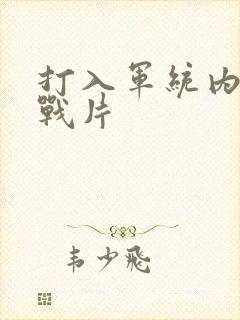 打入军统内部谍战片