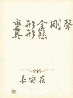 变形金刚声波载具形态