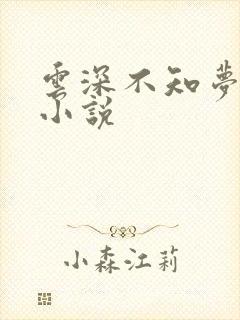 云深不知梦原著小说