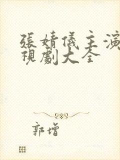 张婧仪主演的电视剧大全