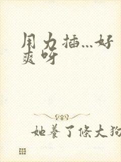 用力插...好爽呀