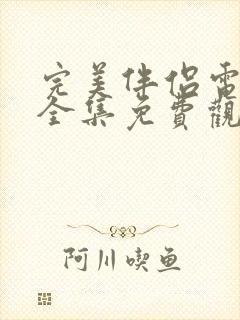 完美伴侣电视剧全集免费观看下载