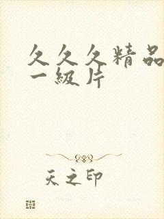 久久久精品国产一级片