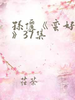 孙俪《蛮好人生》37集